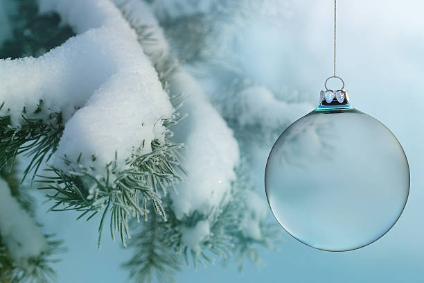 bola de natal transparente sobre a neve abeto - christmas tree snow fir tree isolated imagens e fotografias de stock