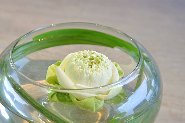 Modern lotus flower arrangement, Thailand