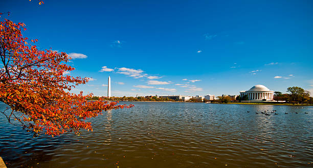 istock Jefferson Memorial and the Tidal Basin 488556902