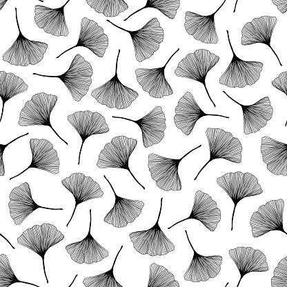 Seamless pattern with ginkgo leaves. Monochrome texture. Black and white illustration. Contrast leaf backdrop. For wallpaper, pattern fills, web page background, surface textures.