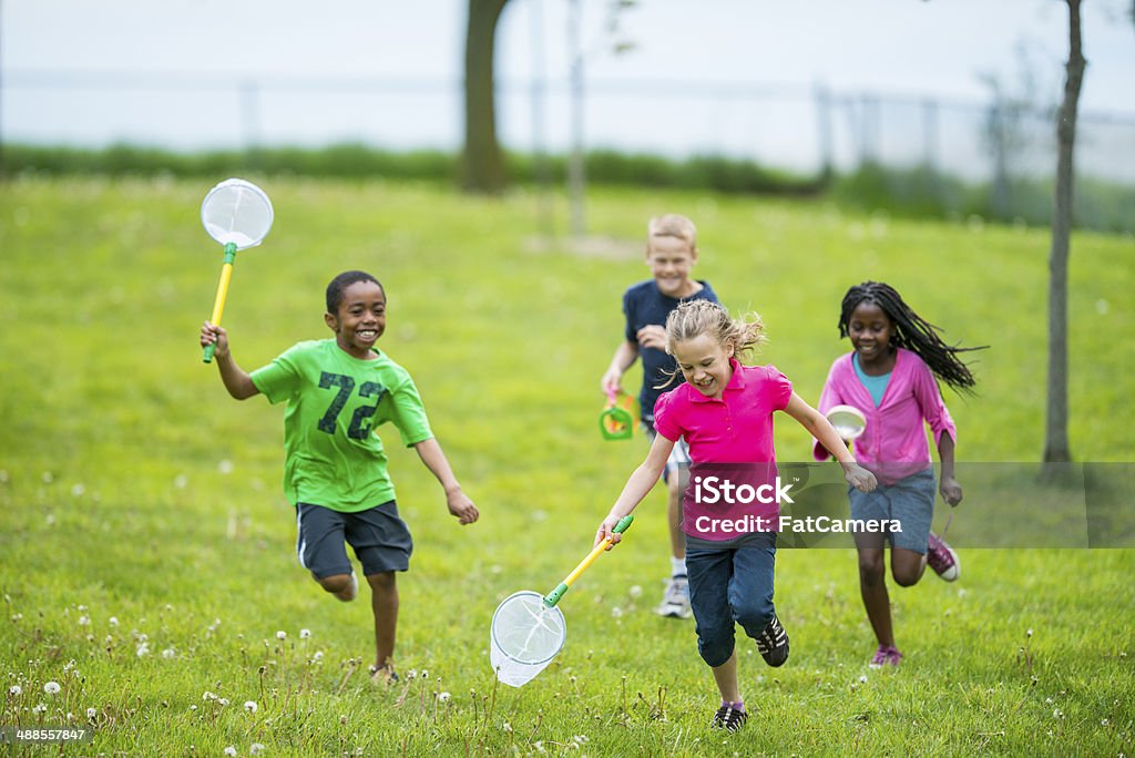 Butterfly Nets Stock Photo - Download Image Now - Butterfly Net, Child, 6-7  Years - iStock