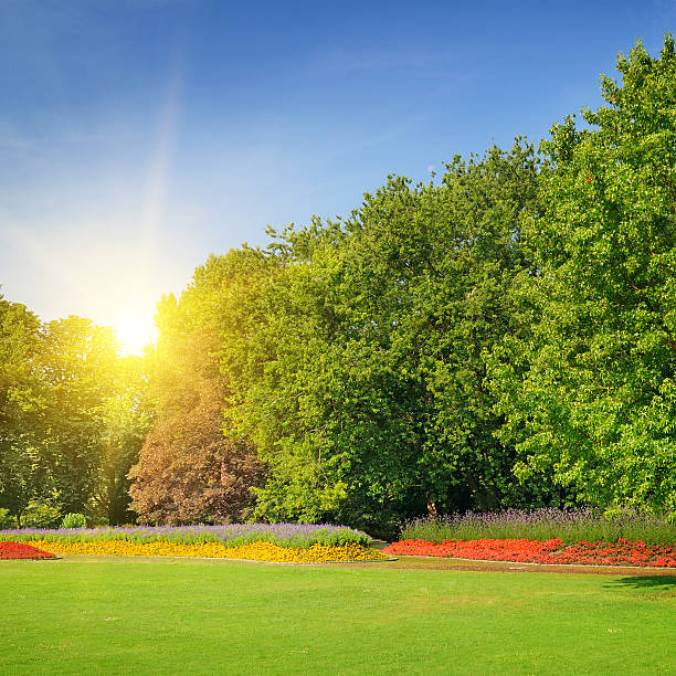 istock summer park with beautiful flowerbeds 488559530