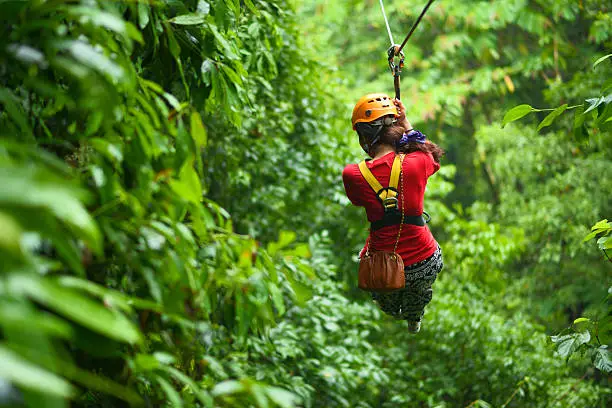 An explorer is moving on cableway in the rainforest