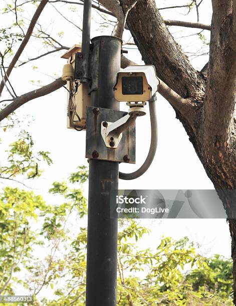 Observation Camera On A Column In The Park Stock Photo - Download Image Now - Accessibility, Architectural Column, Branch - Plant Part