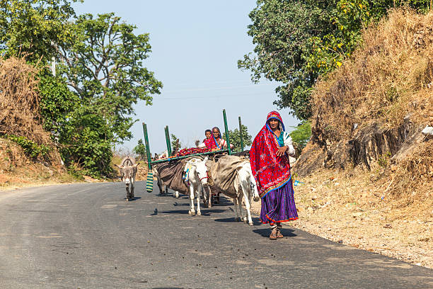 Pushkar, India - October 22, 2012: village people move with all their goods to the next ground  near Pushkar, Rajasthan, India. The animals are the most valuable goods they own.