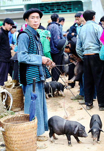 hmong homem de venda suínos - hmong imagens e fotografias de stock