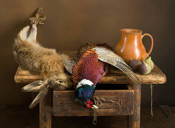 caza partido e higos - pheasant hunting feather game shooting fotografías e imágenes de stock