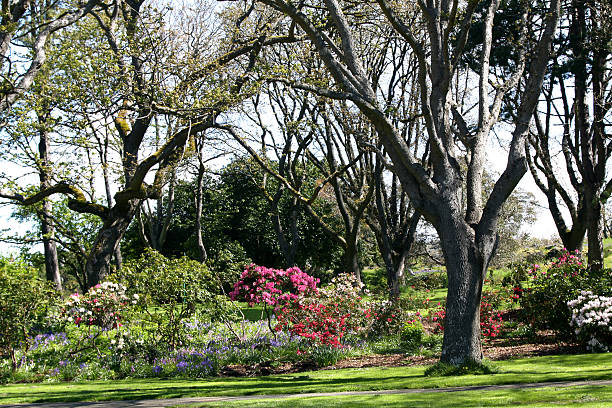 istock Beautiful Garden Setting In City Park 488563083