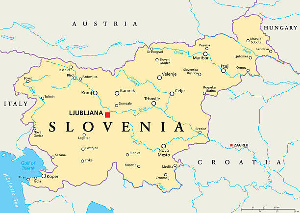 Slovenia Political Map Slovenia political map with capital Ljubljana, national borders, important cities, rivers and lakes. English labeling and scaling. Illustration. slovenia stock illustrations