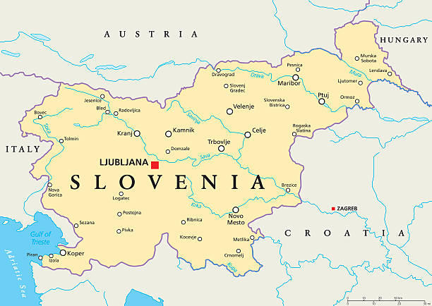 Slovenia Political Map Slovenia political map with capital Ljubljana, national borders, important cities, rivers and lakes. English labeling and scaling. Illustration. koper slovenia stock illustrations