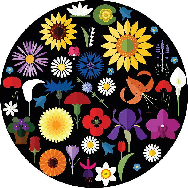 Vector illustration of flat flower circle