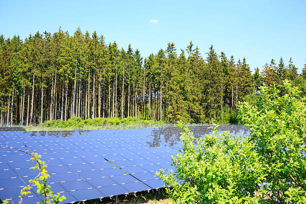 istock solar energy: photovoltaic panels 488570466