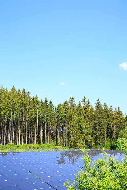 istock solar energy: photovoltaic panels 488570506