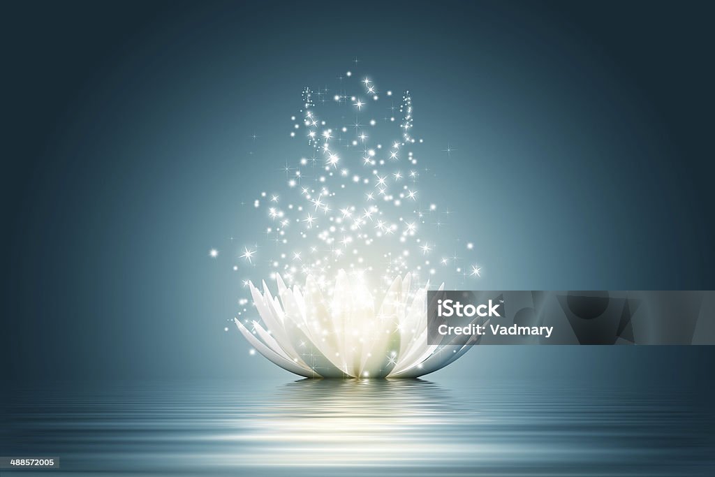 Lotus Blume - Lizenzfrei Lotus - Seerose Stock-Foto