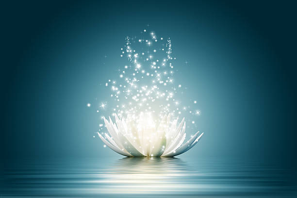 Lotus flower Magic Lotus flower glowing leaves stock pictures, royalty-free photos & images