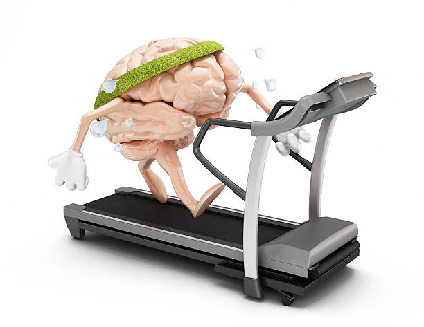 vestibilità cervello - treadmill exercise machine isolated exercising foto e immagini stock