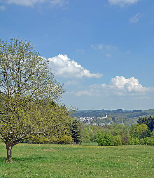 istock View of Bad Marienberg,Westerwald,Germany 488573635