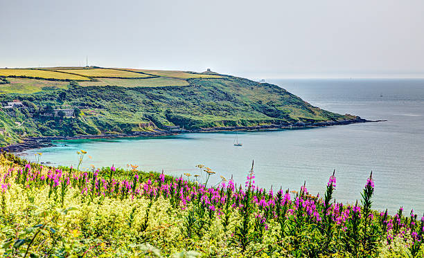 rame head whitsand de costa da cornualha com rosa flores hdr - plymouth england imagens e fotografias de stock