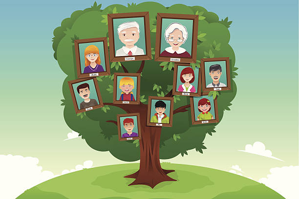 ilustraciones, imágenes clip art, dibujos animados e iconos de stock de concepto de árbol familiar - árbol genealógico