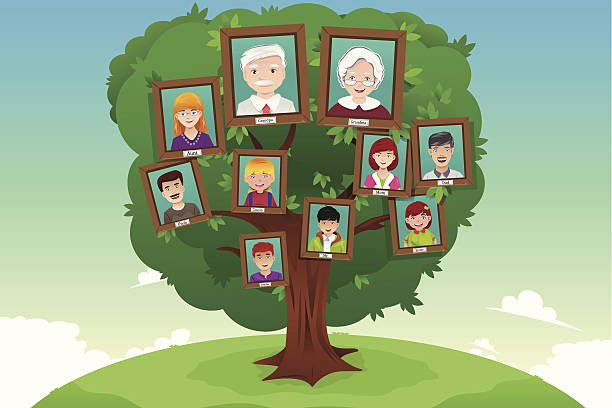 Concept of family tree A vector illustration of concept of family tree family trees stock illustrations
