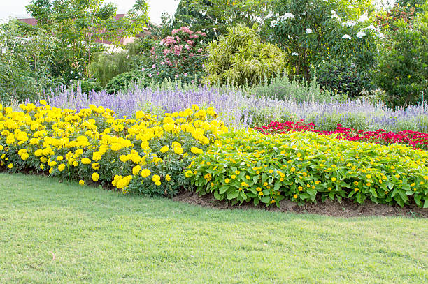 istock Pretty manicured flower garden 2 488574031