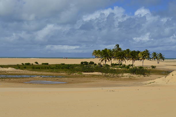 istock San Francisco dunes with oasis and coconut trees in the background 488575296