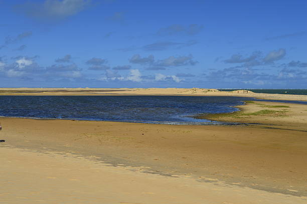 тип озеро в река сан-франциско - oasis sand sand dune desert стоковые фото и изображения