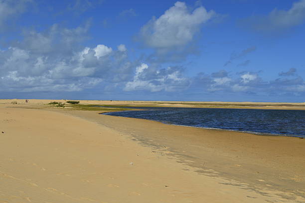 dunas com рио сан франциско a direita - oasis sand sand dune desert стоковые фото и изображения