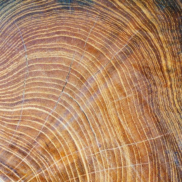 istock Old wooden texture and background. 488577001