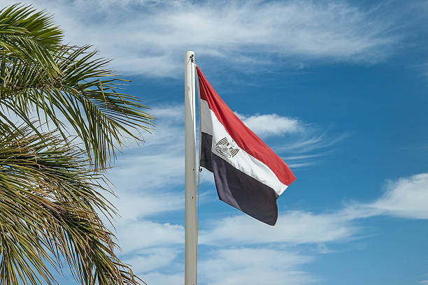 istock Egyptian flag on flagpole near palms 488578977