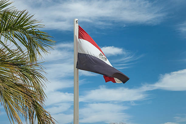 istock Egyptian flag on flagpole near palms 488578983