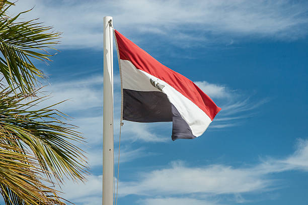 istock Egyptian flag on flagpole near palms 488578987