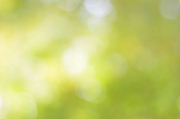istock Natural green blur bokeh background 488580088