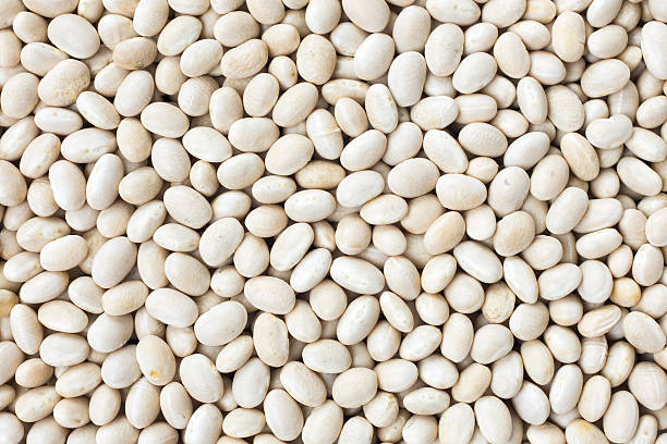 istock Small Navy, haricot, white pea, white kidney or Cannellini Purga 488580692