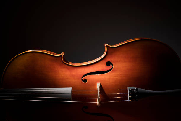 violonchelo silueta - arco equipo musical fotografías e imágenes de stock