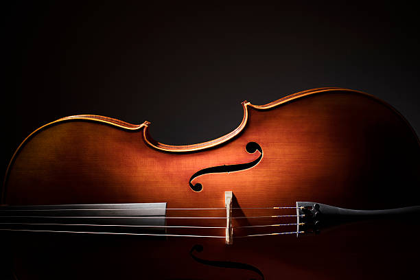 Cello silhouette Silhouette of a Cello on black background with copy space for music concept orchestra photos stock pictures, royalty-free photos & images