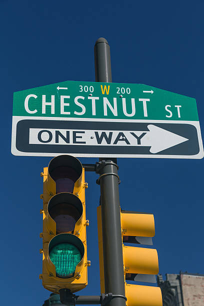 istock Chestnut street sign, Philadelphia 488593855
