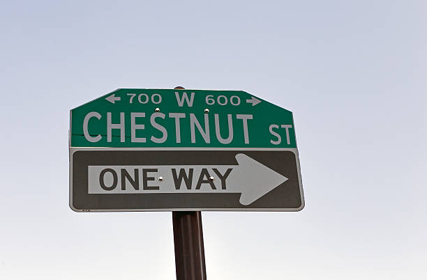istock Chestnut street sign, Philadelphia 488593861