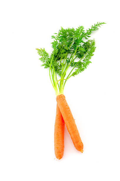 istock Fresh organic carrots on white background 488595347