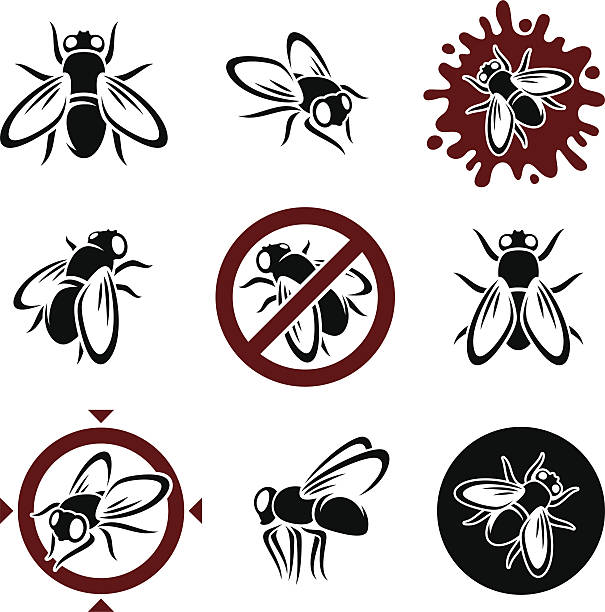 ilustraciones, imágenes clip art, dibujos animados e iconos de stock de mosca doméstica juego.  vector - mosca insecto