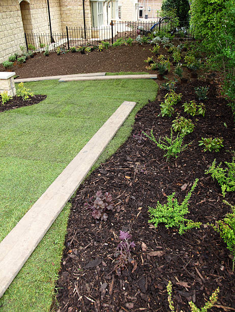 istock new showhome garden 488596837
