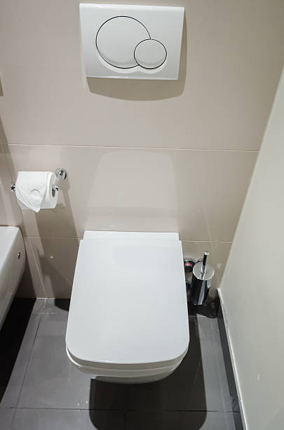 istock Toilet seat in modern room 488597226
