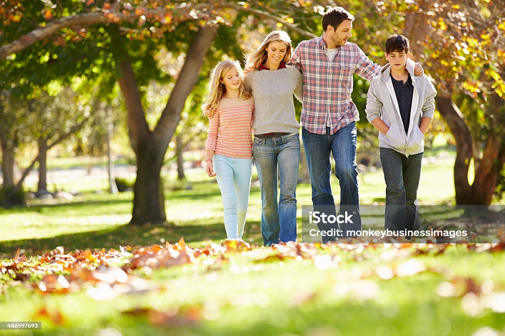 Family of four walking in autumn leaves at park A family of four walks with arms around each other in an autumn woodland.  Orange autumn leaves are scattered in the green grass. Family Stock Photo