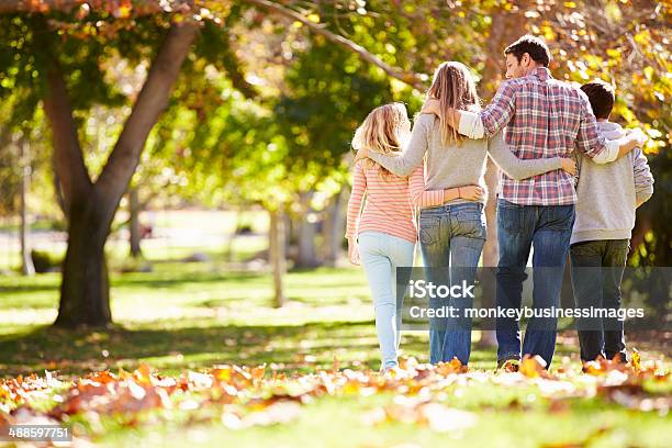 Rear View Of Family Walking Through Autumn Woodland Stock Photo - Download Image Now