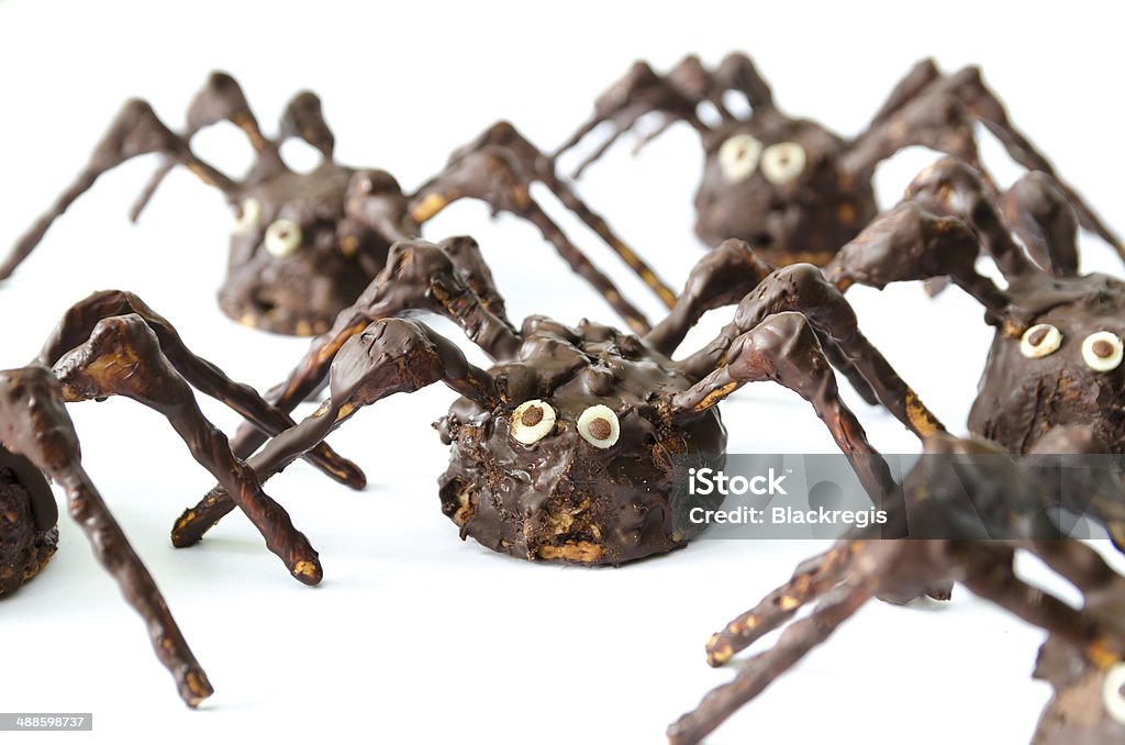 chocolate homemade spiders isolated on white background chocolate homemade spiders isolated on white background - stock photo Affectionate Stock Photo