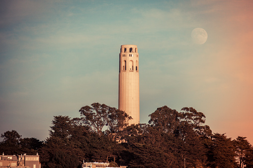 Coit Tower in the background with trees