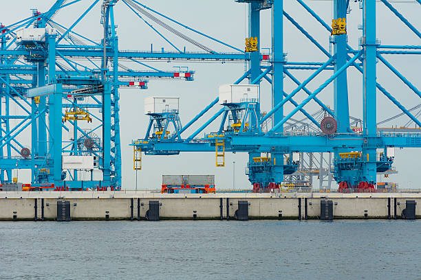 istock Automated truck under new container cranes on Maasvlakte2 488600594