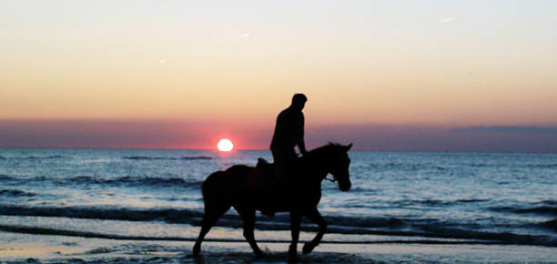 istock Recreational Horse Riding On The Beach At Sunset 488602464