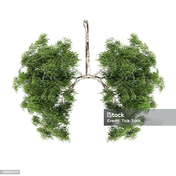 Foto de Aquecimento Global e mais fotos de stock de Árvore - Árvore, Verde - Descrição de Cor, Fundo Branco
