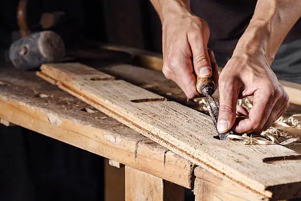 Closeup of a carpenter hands working with a chisel and carving tools on wooden workbench